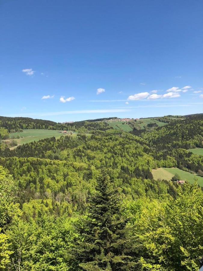 Ferienhaus Bayerwald Ringelai Kültér fotó