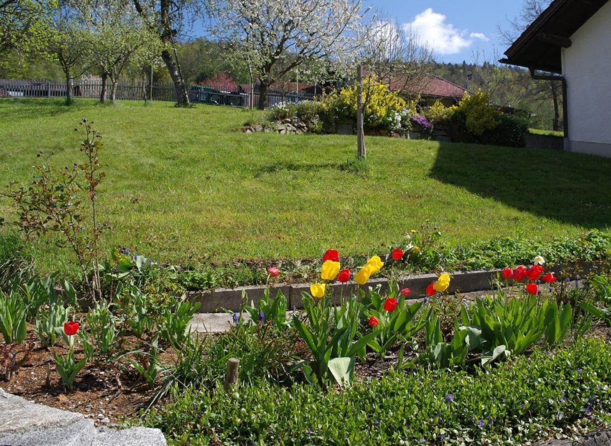 Ferienhaus Bayerwald Ringelai Kültér fotó